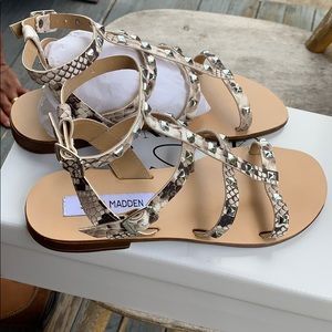 Steve Madden “Beyond” sandals